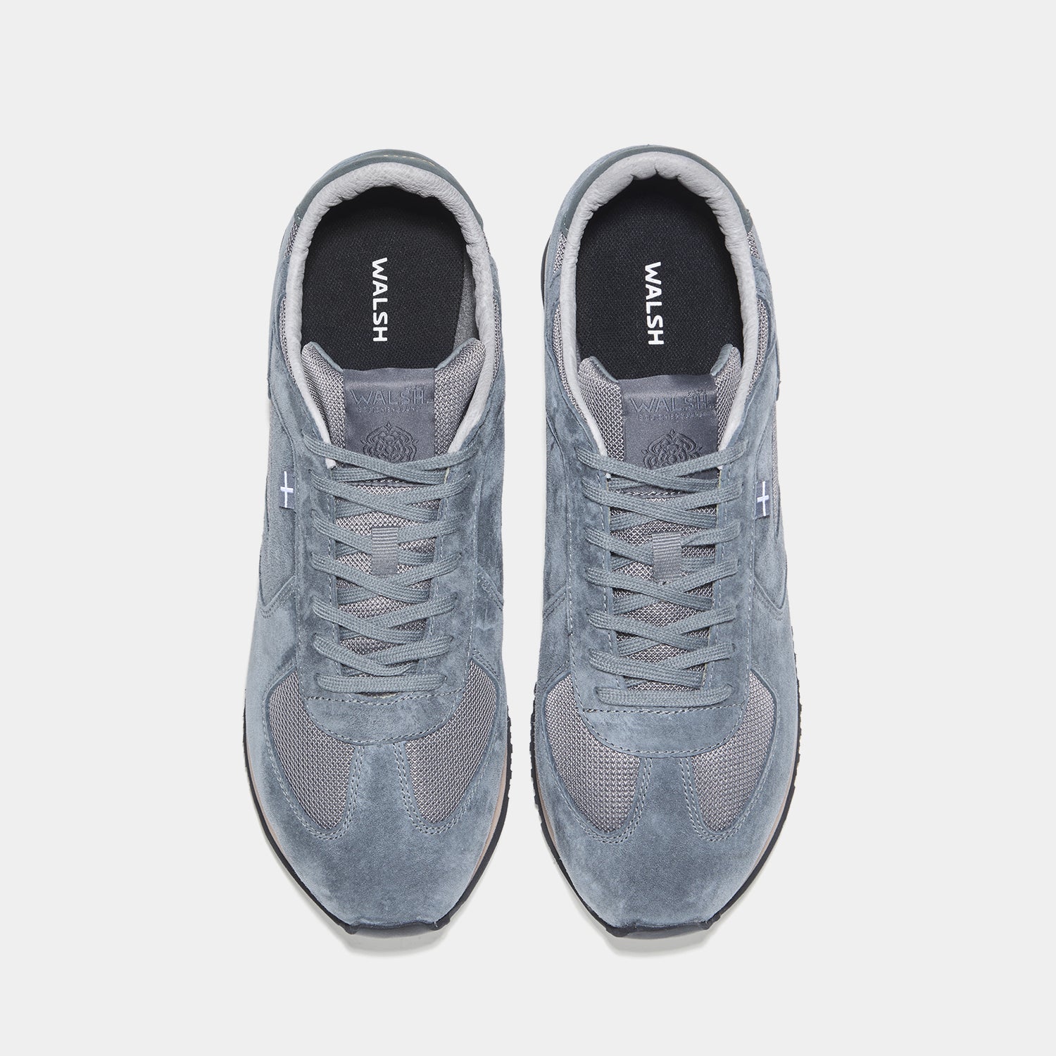 Nova Gloria - Graphite